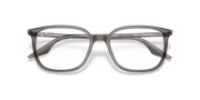 Clear Lenses, Polished Grey On Transparent Frame