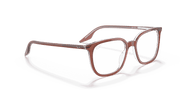 Clear Lenses, Polished Brown On Transparent Frame