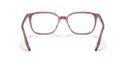 Clear Lenses, Polished Brown On Transparent Frame