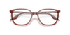 [Clear Lenses, Polished Brown On Transparent Frame]