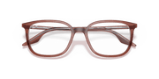 Clear Lenses, Polished Brown On Transparent Frame