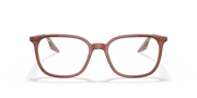 Clear Lenses, Polished Brown On Transparent Frame