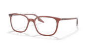 Clear Lenses, Polished Brown On Transparent Frame