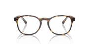 Clear Lenses, Polished Havana On Transparent Frame