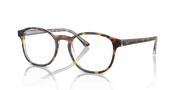 Clear Lenses, Polished Havana On Transparent Frame