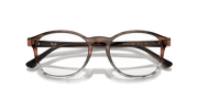 Clear Lenses, Polished Striped Brown & Red Frame