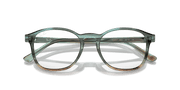 Clear Lenses, Polished Striped Blue & Green Frame