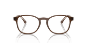 Clear Lenses, Polished Brown On Transparent Light Brown Frame