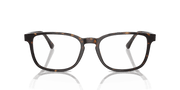 Clear Lenses, Polished Havana Frame