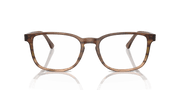 Clear Lenses, Polished Striped Brown & Green Frame