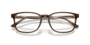 Clear Lenses, Polished Brown On Transparent Light Brown Frame