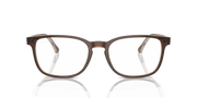 Clear Lenses, Polished Brown On Transparent Light Brown Frame