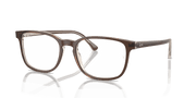 Clear Lenses, Polished Brown On Transparent Light Brown Frame