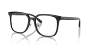 Clear Lenses, Polished Black Frame