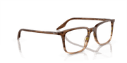 Clear Lenses, Polished Striped Brown & Green Frame