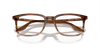 [Clear Lenses, Polished Striped Brown & Green Frame]