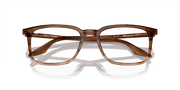 Clear Lenses, Polished Striped Brown & Green Frame