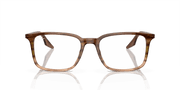 Clear Lenses, Polished Striped Brown & Green Frame