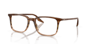 Clear Lenses, Polished Striped Brown & Green Frame