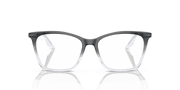 Clear Lenses, Polished Dark Grey Frame