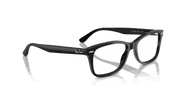 Clear Lenses, Polished Black Frame