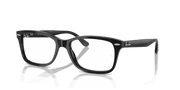 Clear Lenses, Polished Black Frame