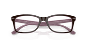 Clear Lenses, Polished Brown On Pink Frame