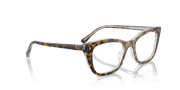 Clear Lenses, Polished Havana On Transparent Frame