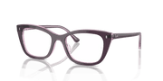 Clear Lenses, Polished Violet On Transparent Pink Frame