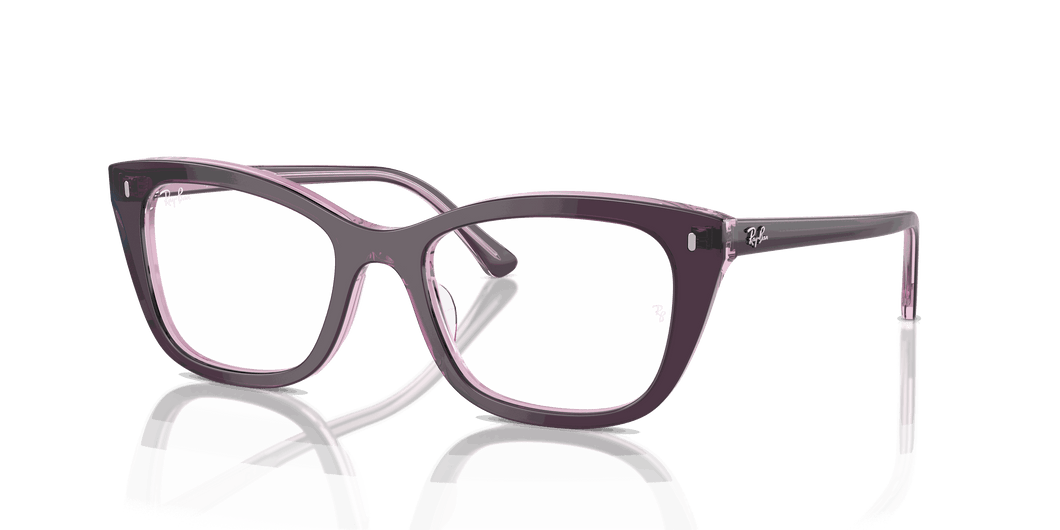 [Clear Lenses, Polished Violet On Transparent Pink Frame]