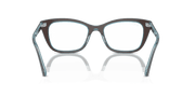 Clear Lenses, Polished Brown On Transparent Blue Frame