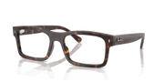 Clear Lenses, Polished Havana Frame