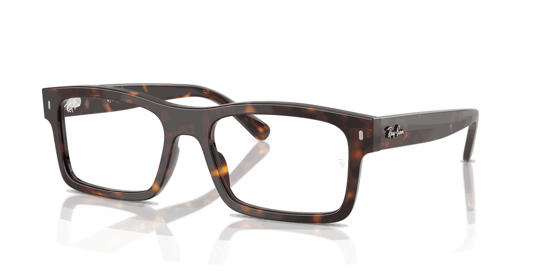 [Clear Lenses, Polished Havana Frame]