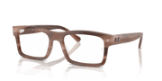 Clear Lenses, Polished Havana Brown Frame