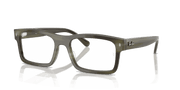 Clear Lenses, Polished Havana Green Frame