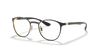 [Clear Lenses, Matte Black On Gold Frame]