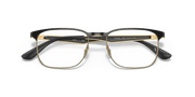 Clear Lenses, Polished Black On Gold Frame