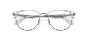 Clear Lenses, Polished Silver Frame