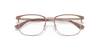 [Clear Lenses, Polished Beige On Copper Frame]