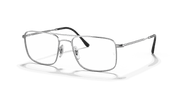 Clear Lenses, Polished Silver Frame