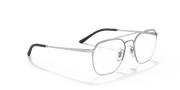 Clear Lenses, Polished Silver Frame