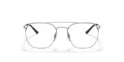 Clear Lenses, Polished Silver Frame