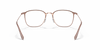 [Clear Lenses, Polished Beige On Copper Frame]