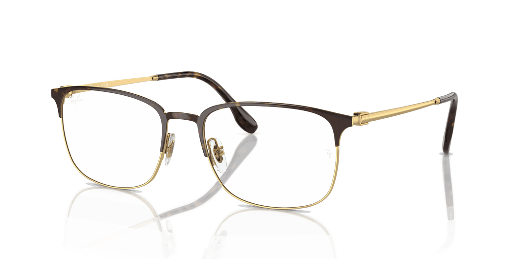 [Clear Lenses, Polished Havana On Gold Frame]