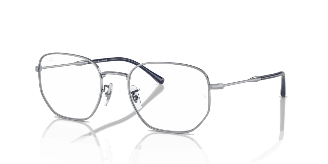 [Clear Lenses, Polished Silver Frame]