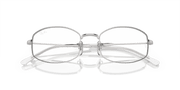 Clear Lenses, Polished Silver Frame