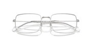 Clear Lenses, Polished Silver Frame