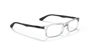 Clear Lenses, Polished Transparent Frame