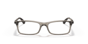 Clear Lenses, Polished Trasparent Grey Frame