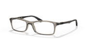 Clear Lenses, Polished Trasparent Grey Frame